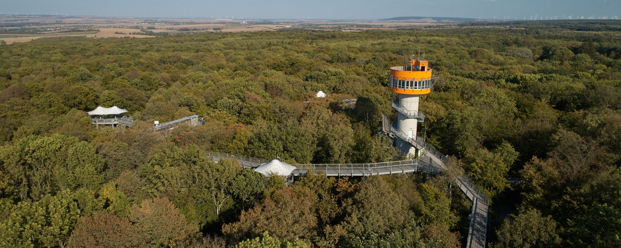 Baumkronenpfad im Hainich © Tino Sieland
