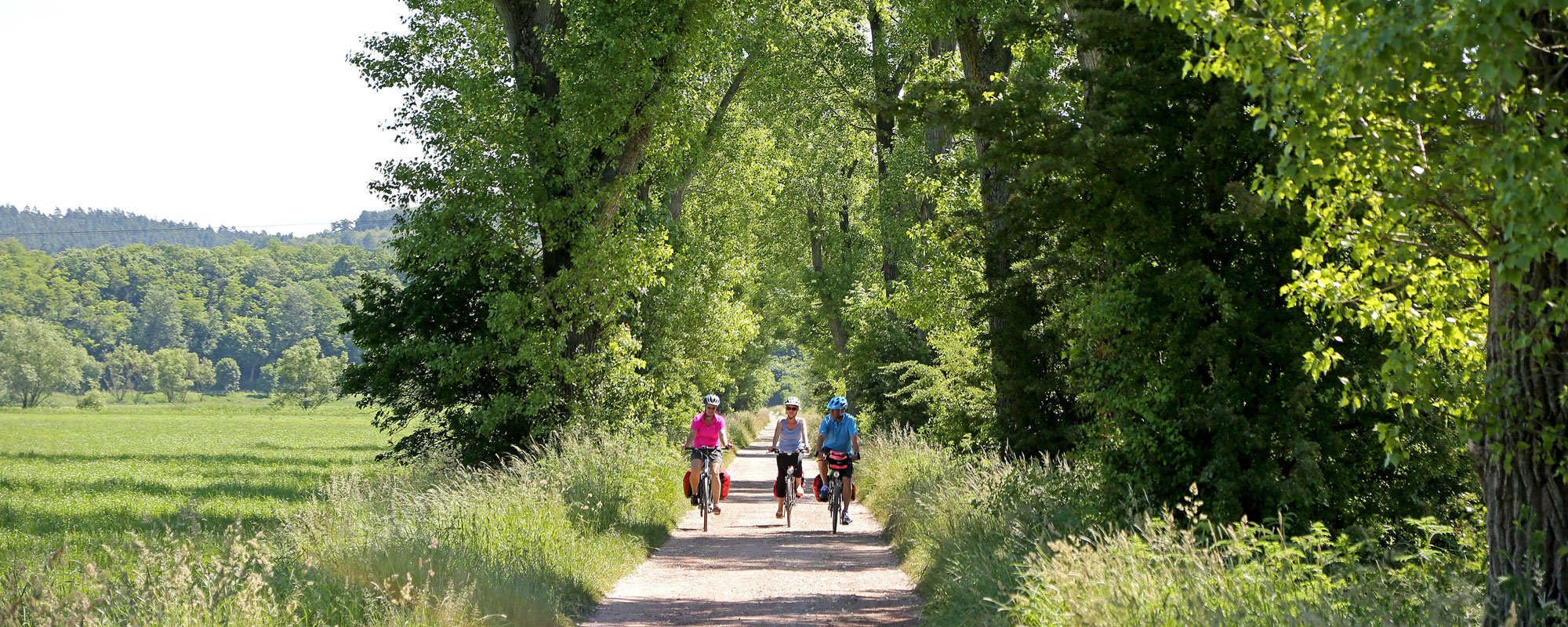 Radfahren auf dem Werratal-Radweg © Werratal Touristik e. V.